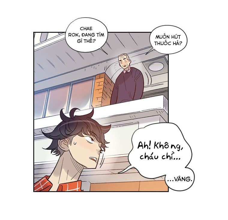 tôi muốn bay như một con bướm chapter 20 22