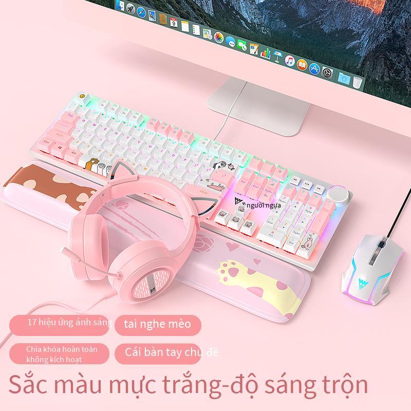 Giá Đặc Biệt Wrangler Đôi Phối Màu Chủ Đề Mèo Dễ Thương Bàn Phím Cơ Laptop Văn Phòng Dễ Thương Hoa Anh Đào Hồng Bàn Phím Cơ