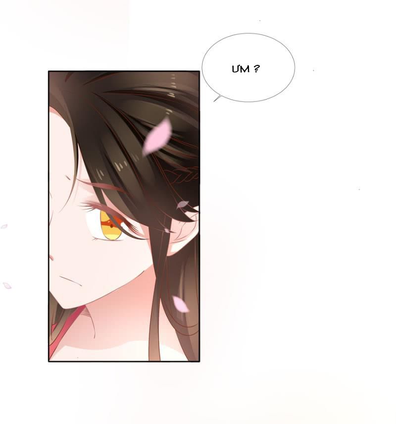 solo đi vương gia chapter 124 3