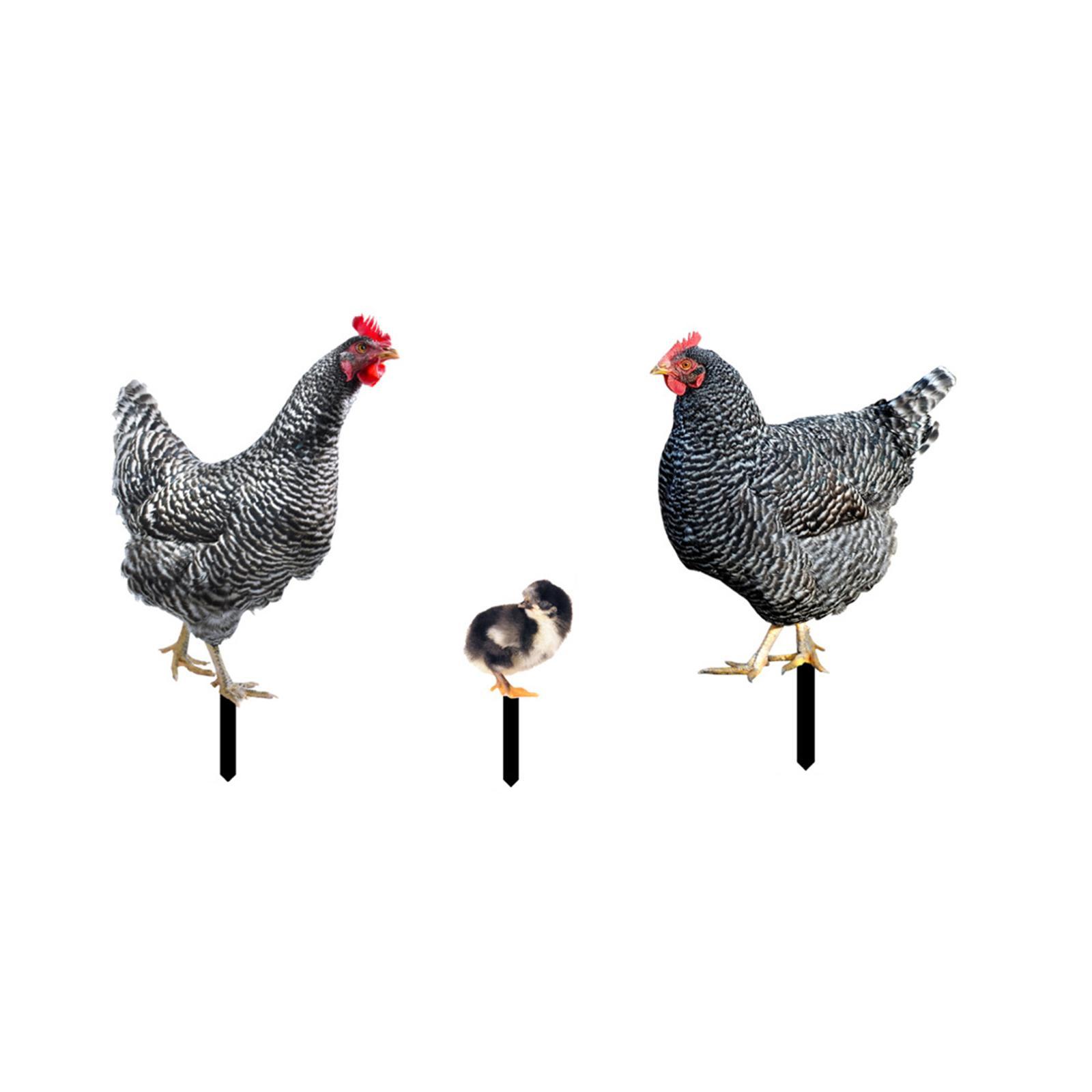 3 Pieces Chicken Animal Statue Animal Shaped Yard Stake for Pathway Decor