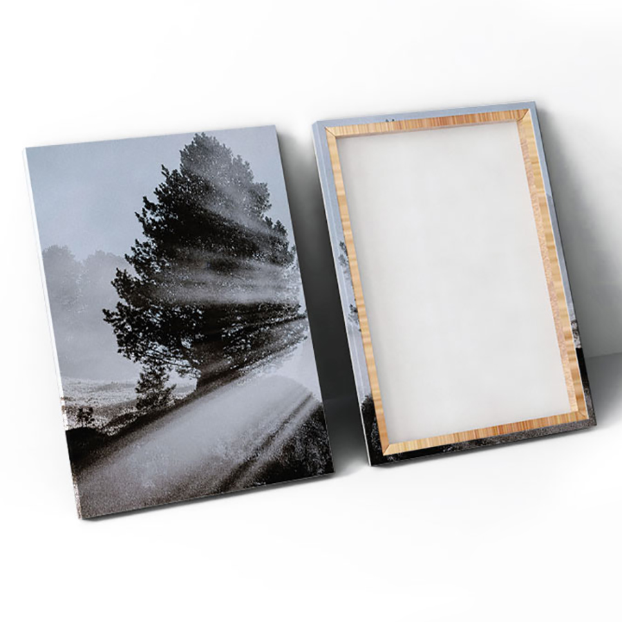 Bộ 2 Tranh Canvas Cây Cao Bóng Cả - W120