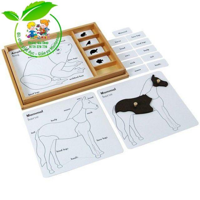 Bộ thẻ học 3 phần động vật (Animal Puzzle Activity Set)