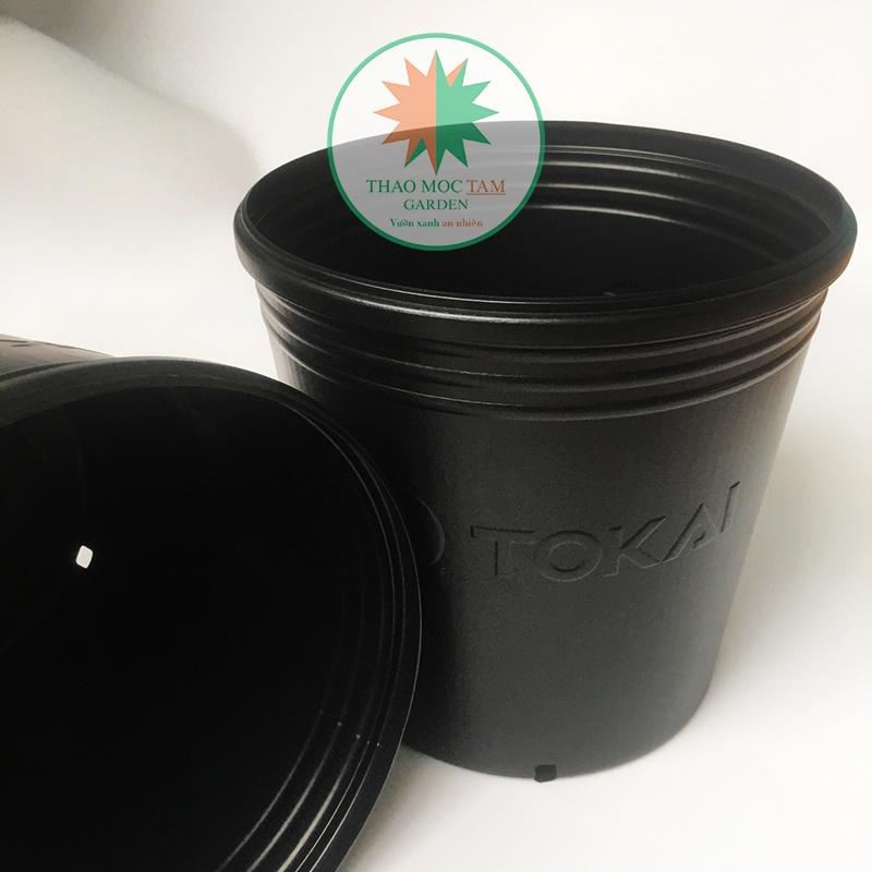 05 Chậu Trồng Cây 30x28cm TOKAI – Chậu to trồng cây chất lượng Nhật