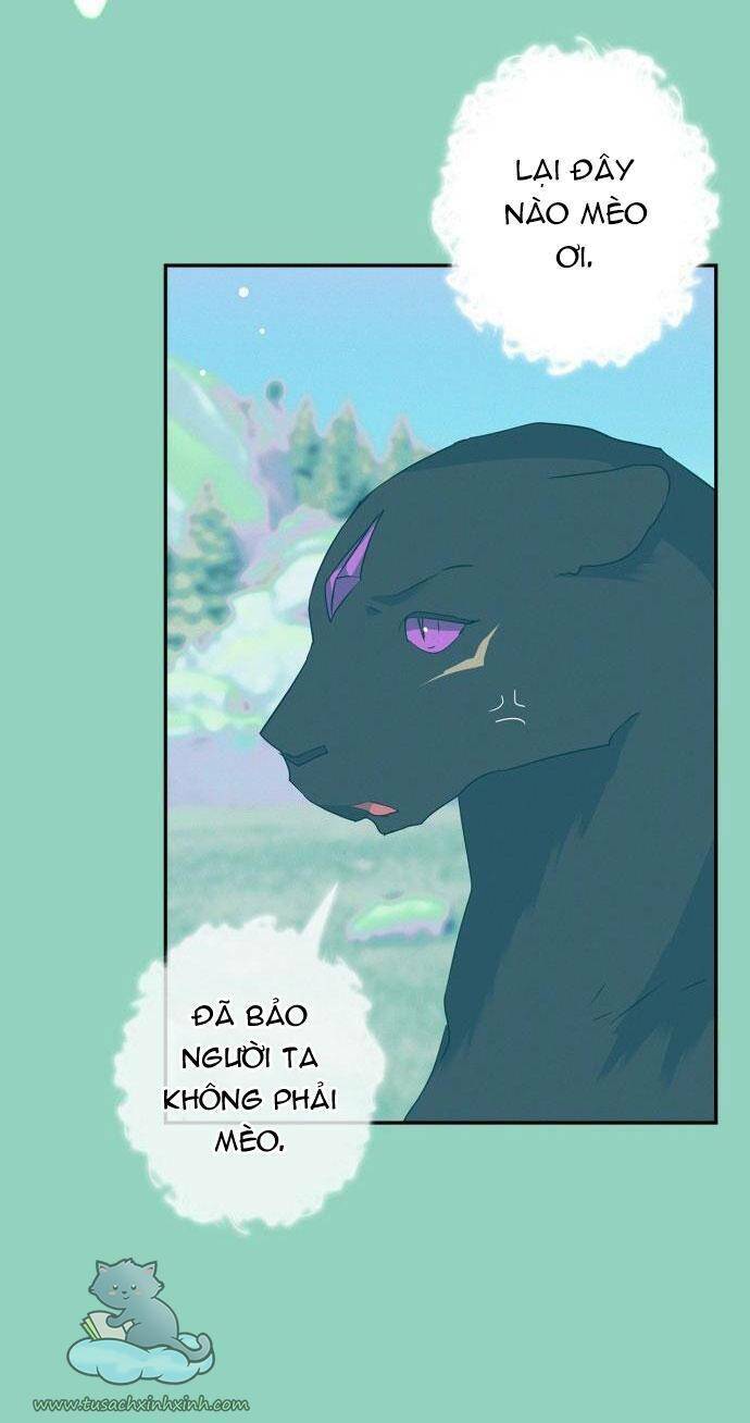 tôi đang nuôi dưỡng một con quái thú chapter 71 62