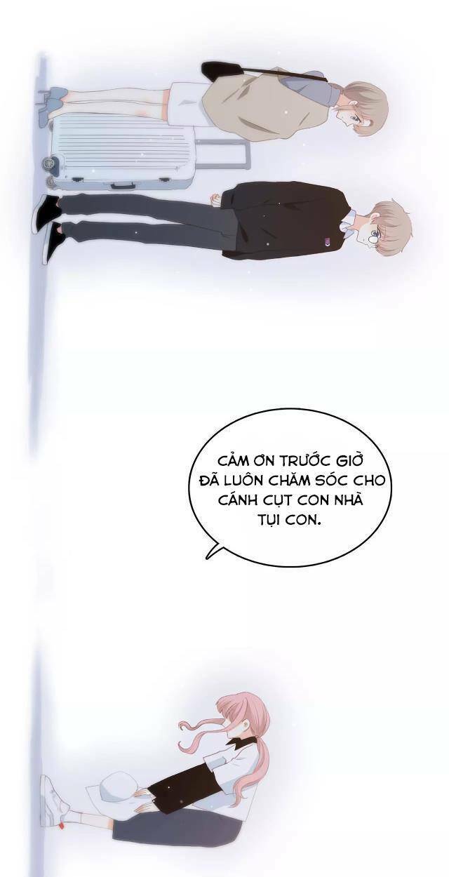 con tim rung động 3 chapter 61 40