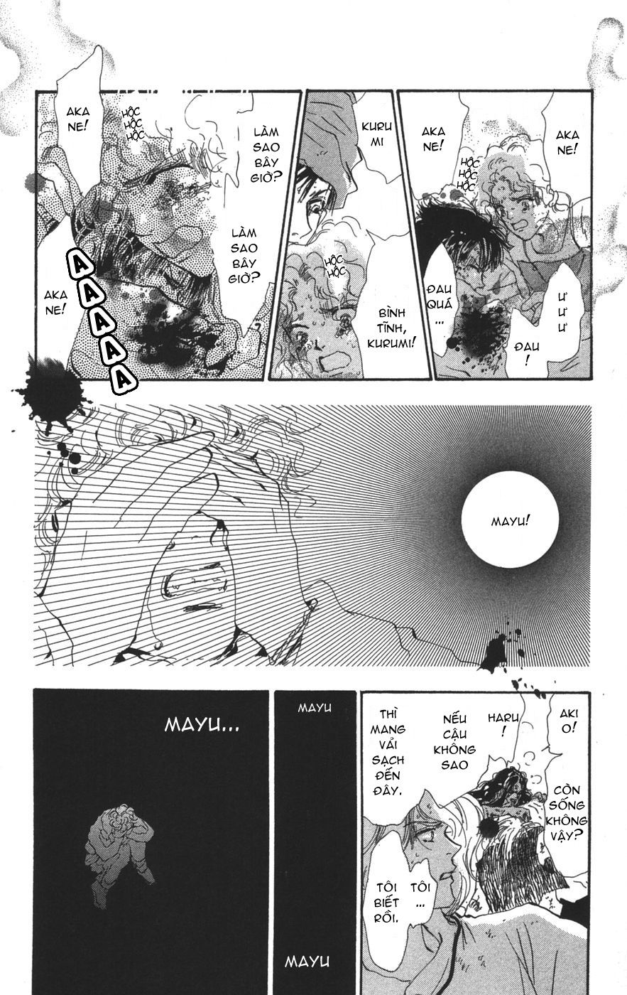 mầm sống chapter 71 35