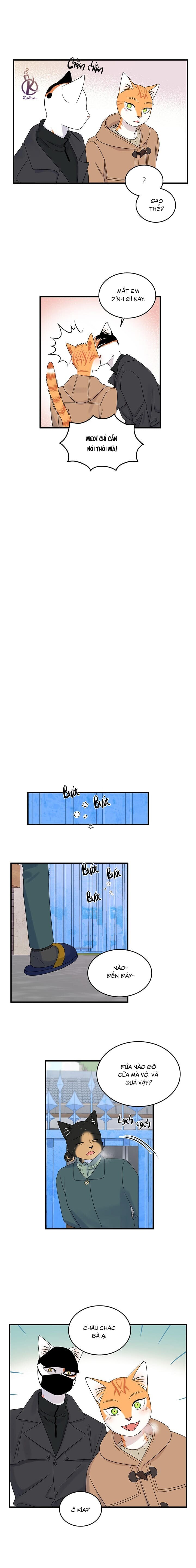 dự án xanh chapter 53 8