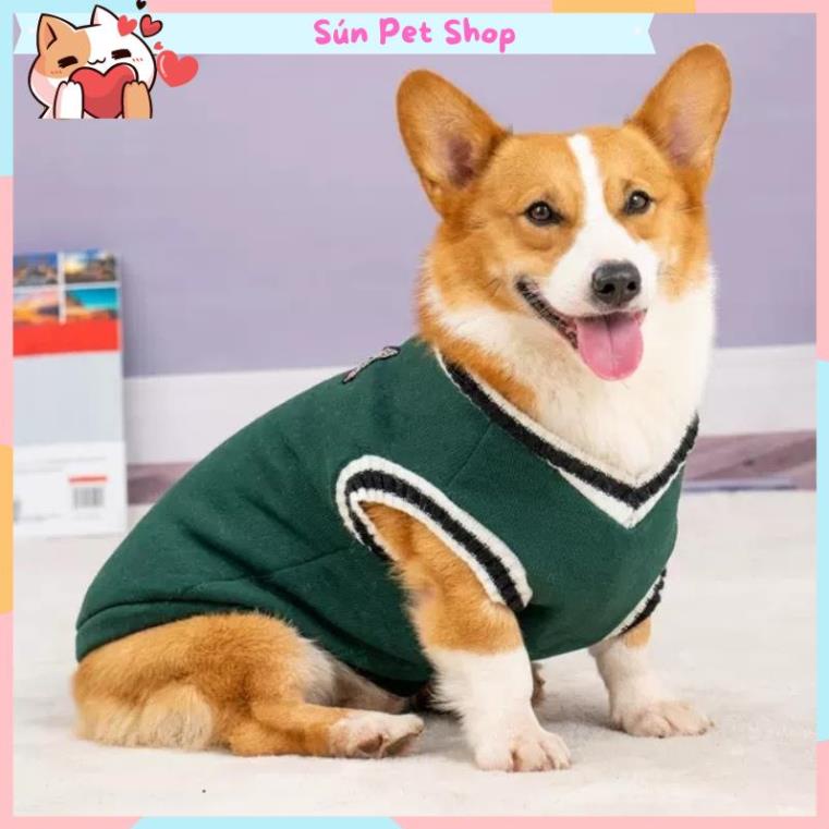Áo gile phong cách cho thú cưng - Áo len cho chó mèo
