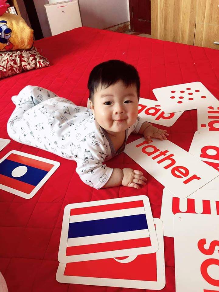 Combo Flash Card - Thẻ học thông minh theo phương pháp phương pháp Glenn Doman trọn bộ