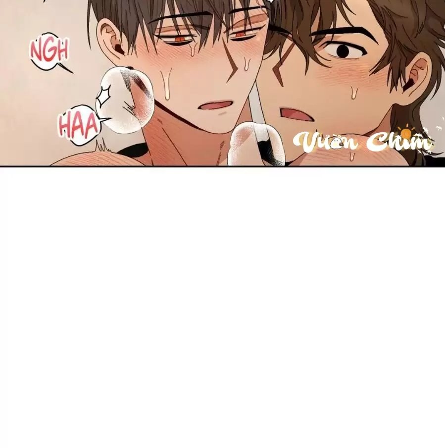 liveta chapter 13 10