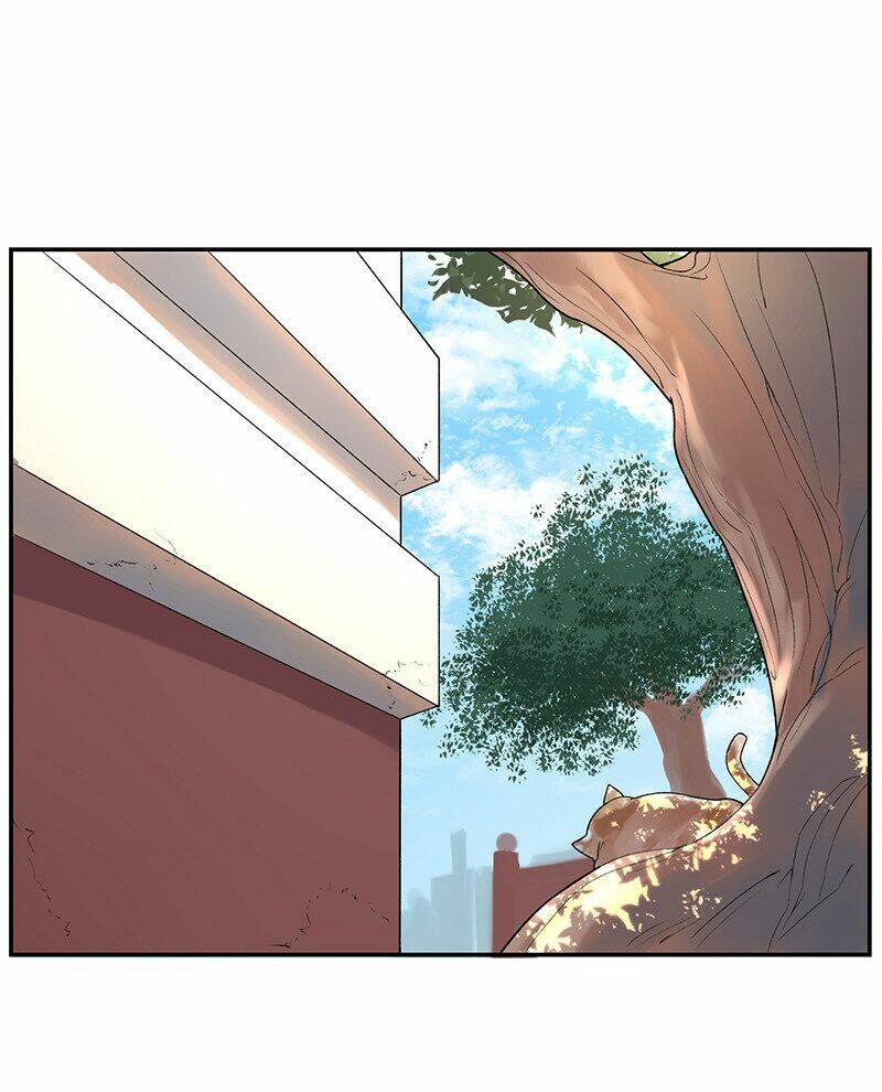 kì diệp vi ngũ chapter 3 31