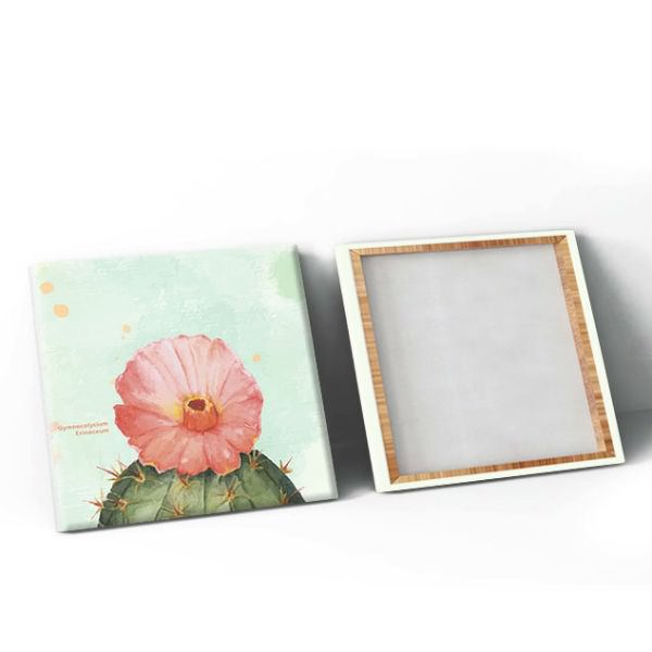 Bộ 3 Tranh Canvas Không Viền Treo Phòng Khách "Hoa Xương Rồng" W103