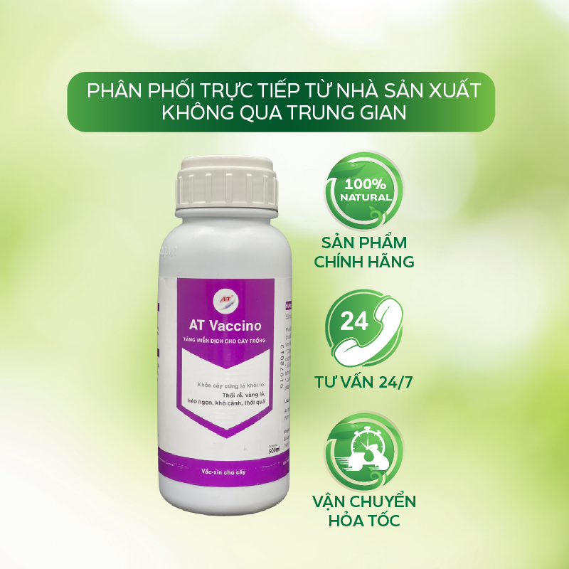 Chế Phẩm Đặc Trị Bệnh Xì Mủ, Thối Rễ, Thán Thư, Sương Mai, Nấm Hồng, Rụng Hoa Trên Cây Trồng - AT Vaccino Tím 500ml