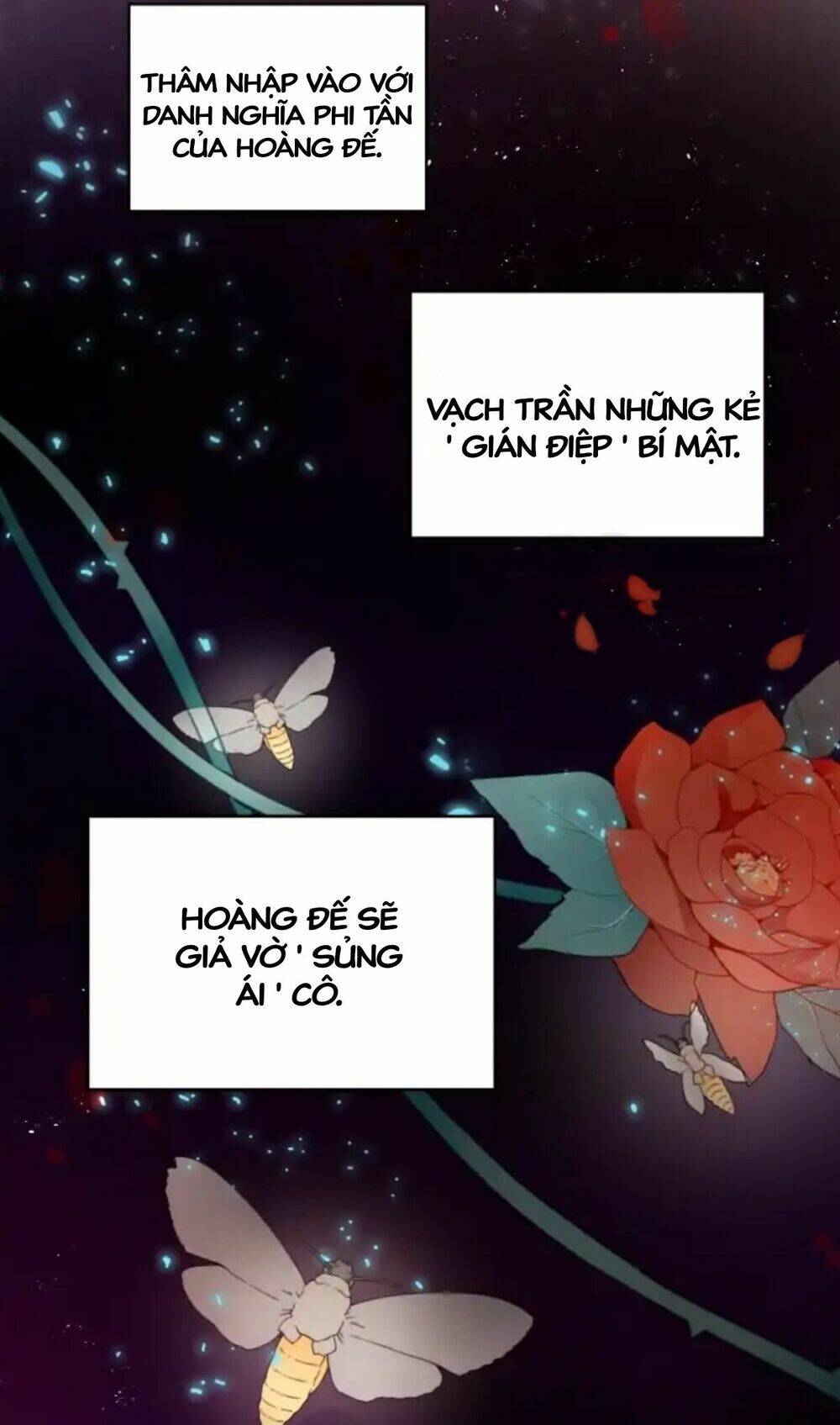 bản hợp đồng hôn nhân chapter 3 12