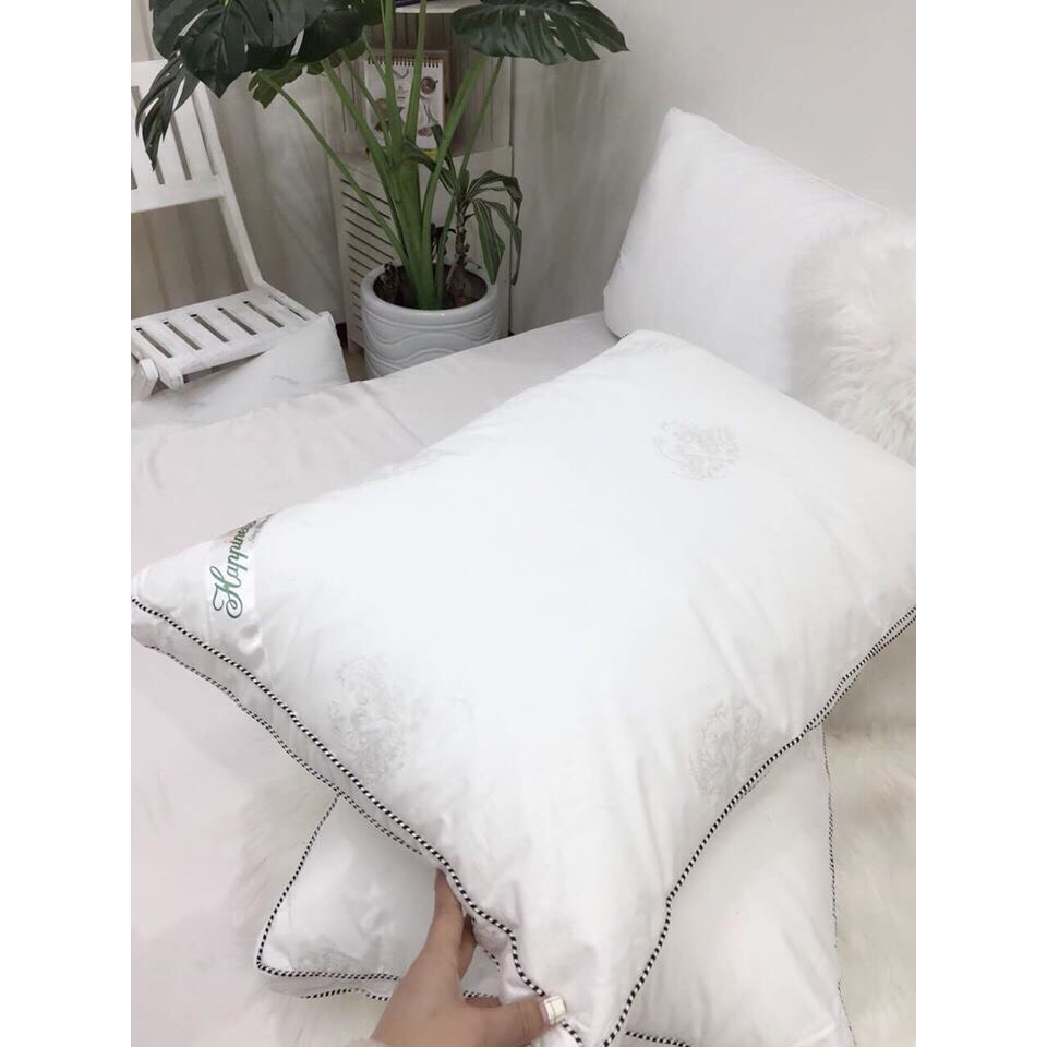 Bộ 2 ruột gối lông vũ cao cấp