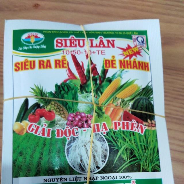 Siêu lân giúp ra rễ , đẻ nhánh