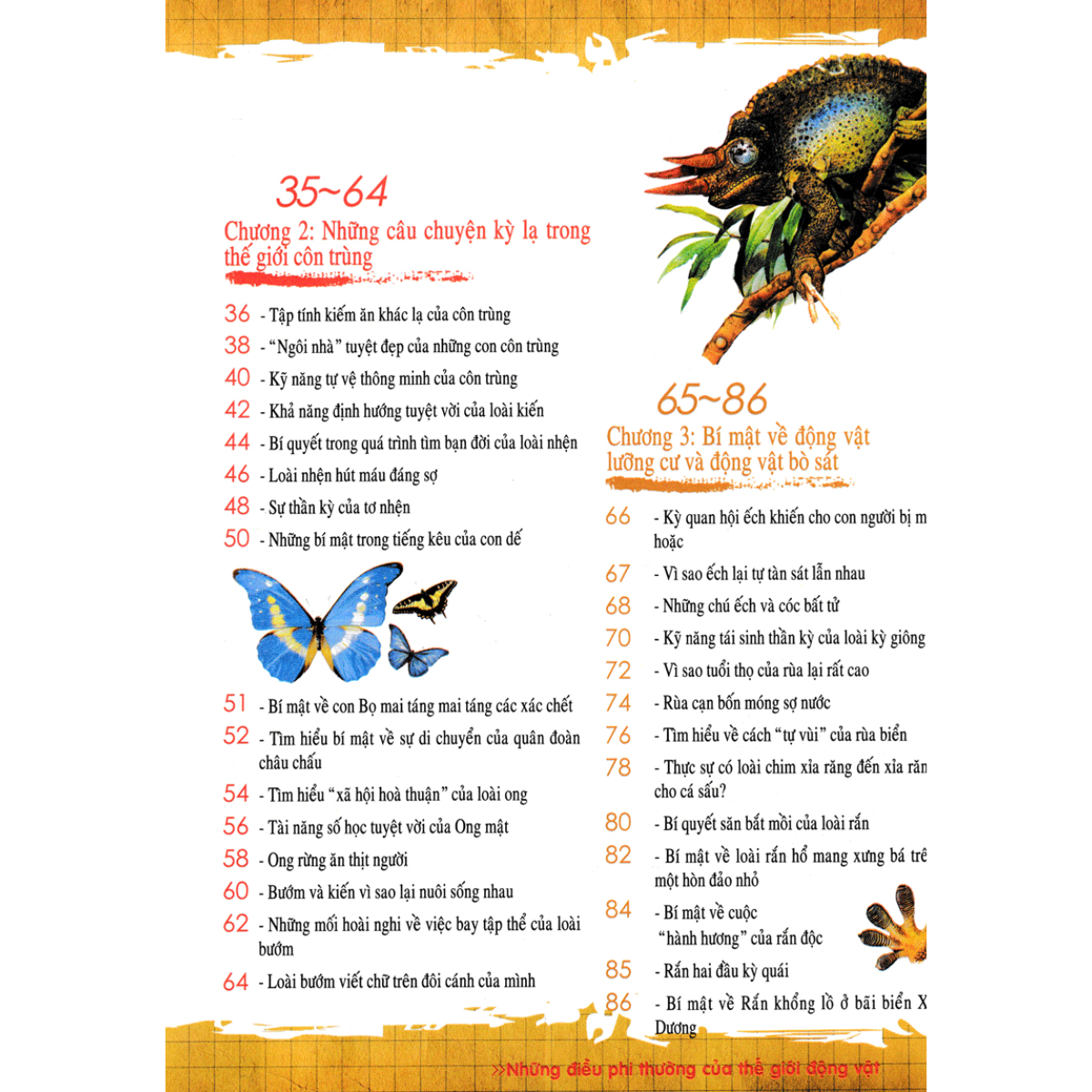 Khám Khá Những Bí Ẩn Về - Động Vật