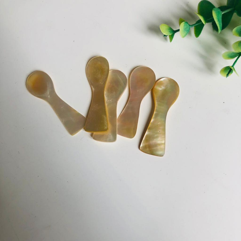 Thìa/Muỗng Trai Mini Size Nhỏ Xinh, Thìa Xúc Trứng Cá Hồi, Thìa Gia Vị, Nêm, Chụp Ảnh Decor Sang Trọng