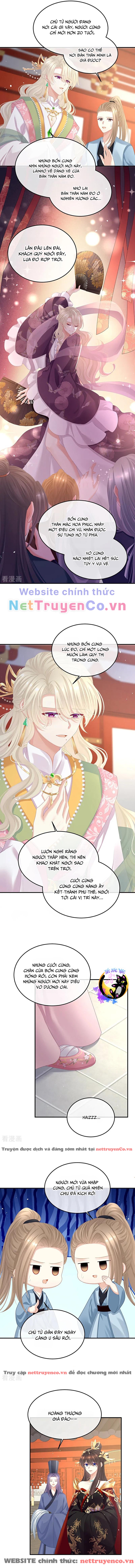 hậu cung của nữ đế - mùa 2 chapter 8 5