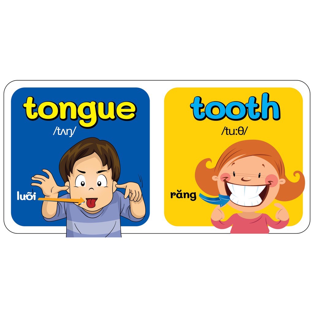 Bộ Sách Baby'S First Picture Dictionary - Từ Điển Bằng Hình Đầu Tiên Của Bé