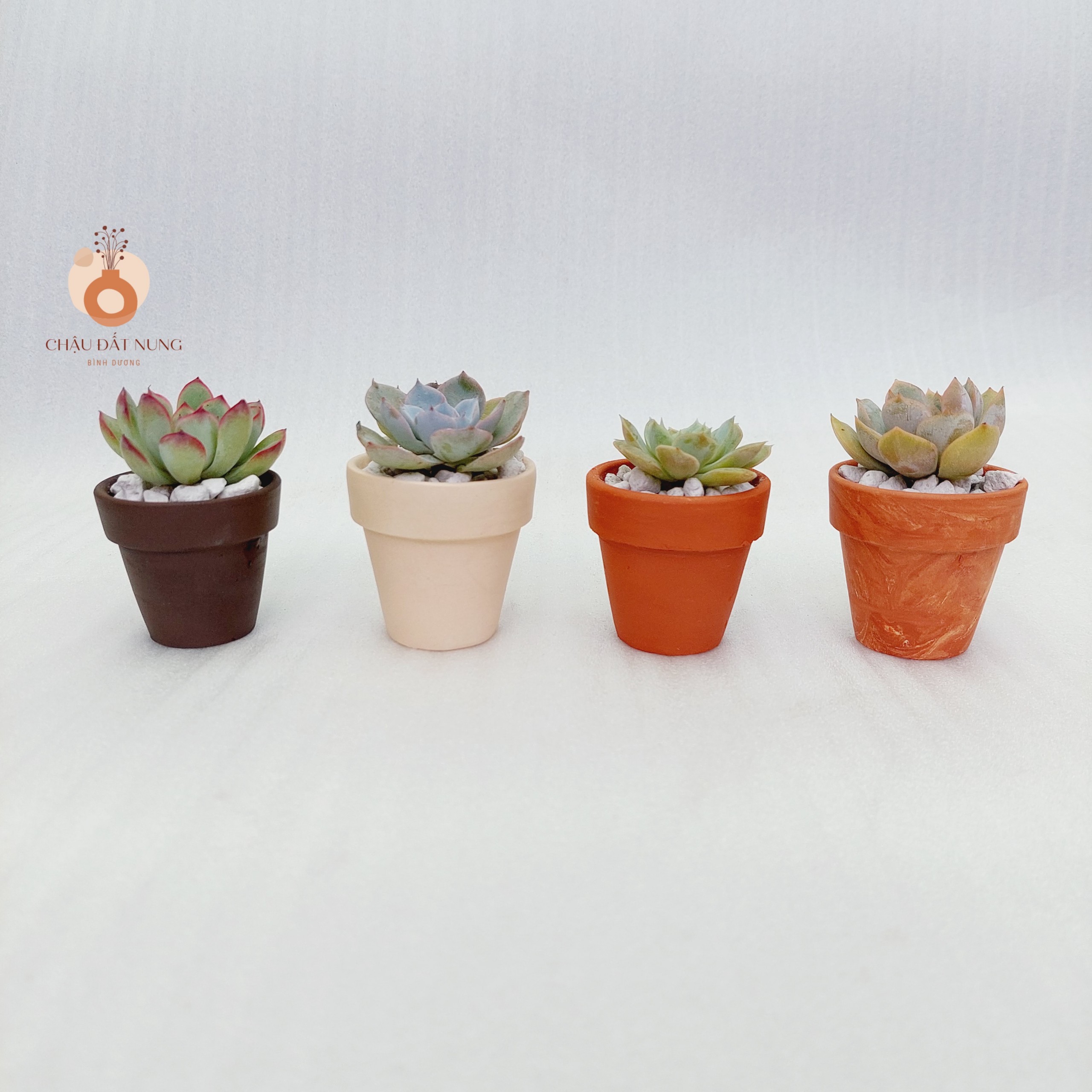 Chậu đất nung Bình Dương - Chậu ly có gờ 55, miệng chậu 5cm, chiều cao 5cm