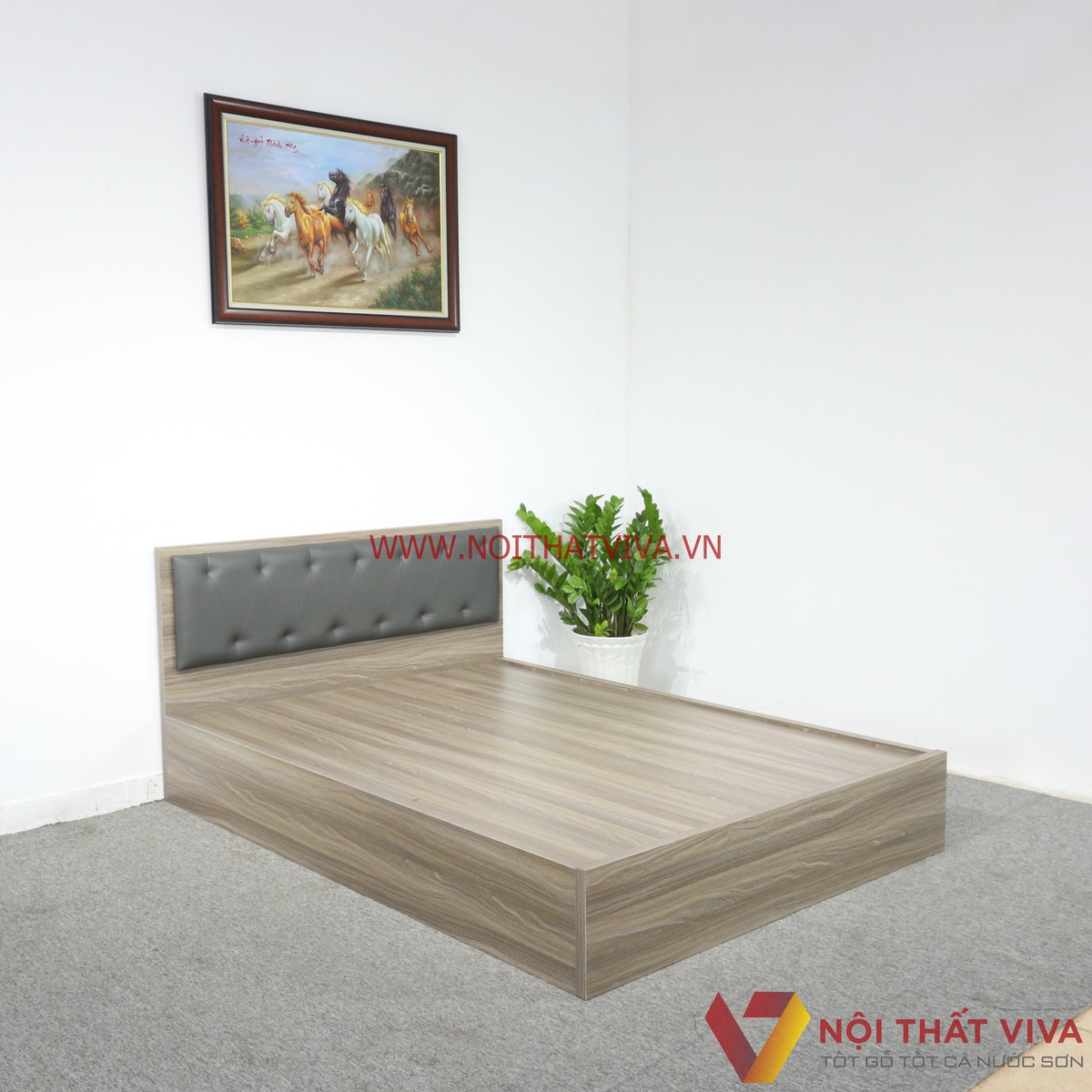 Giường Ngủ Gỗ MDF Melamine Màu Xám Vân Gỗ Có Đầu Nệm Đen Đẹp Giá Rẻ