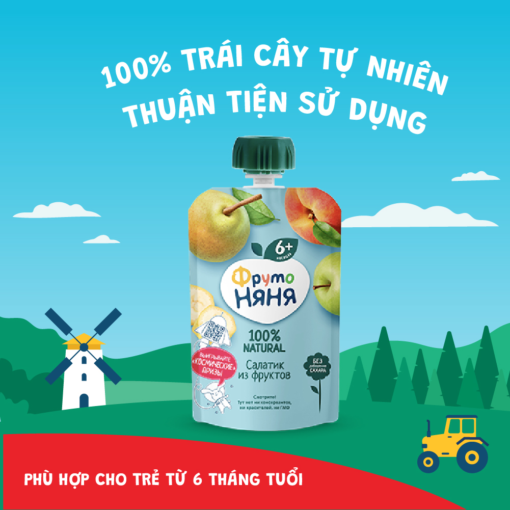 Combo 6 Gói Trái cây nghiền Salad Fruit Fruto Nyanya 90g