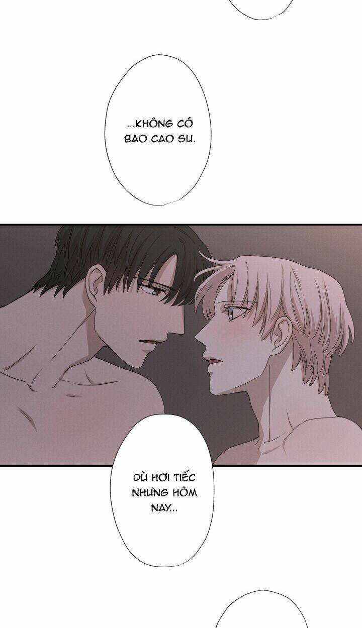 trốn tìm chapter 21 28