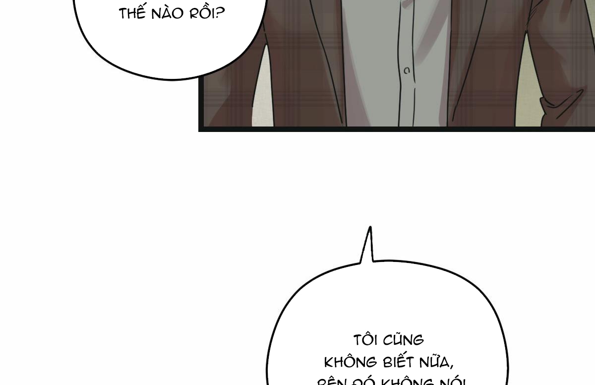 tương phùng chapter 11 18