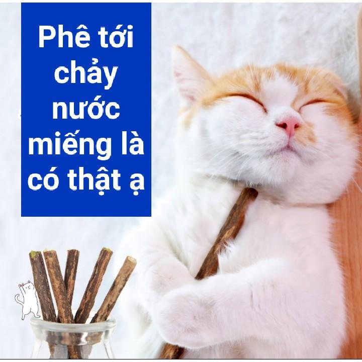 Set 5 Thanh Gỗ Matatabi Nhai Gặm Cho Mèo Giúp Làm Sạch Răng Và Thư Giãn