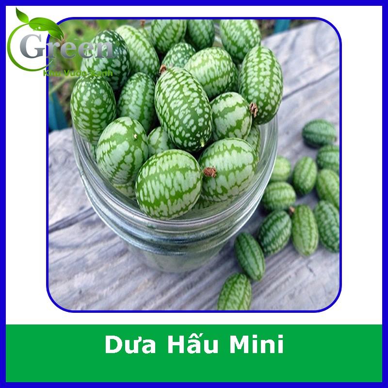 Hạt Giống Dưa Hấu Mini (10H)