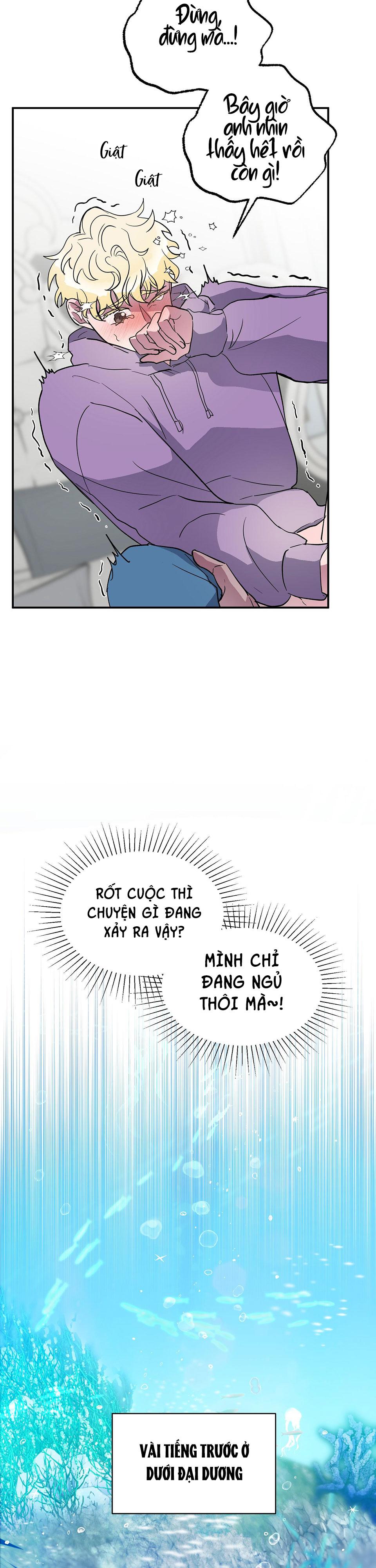 cá mập và cô dâu thỏ chapter 1 7