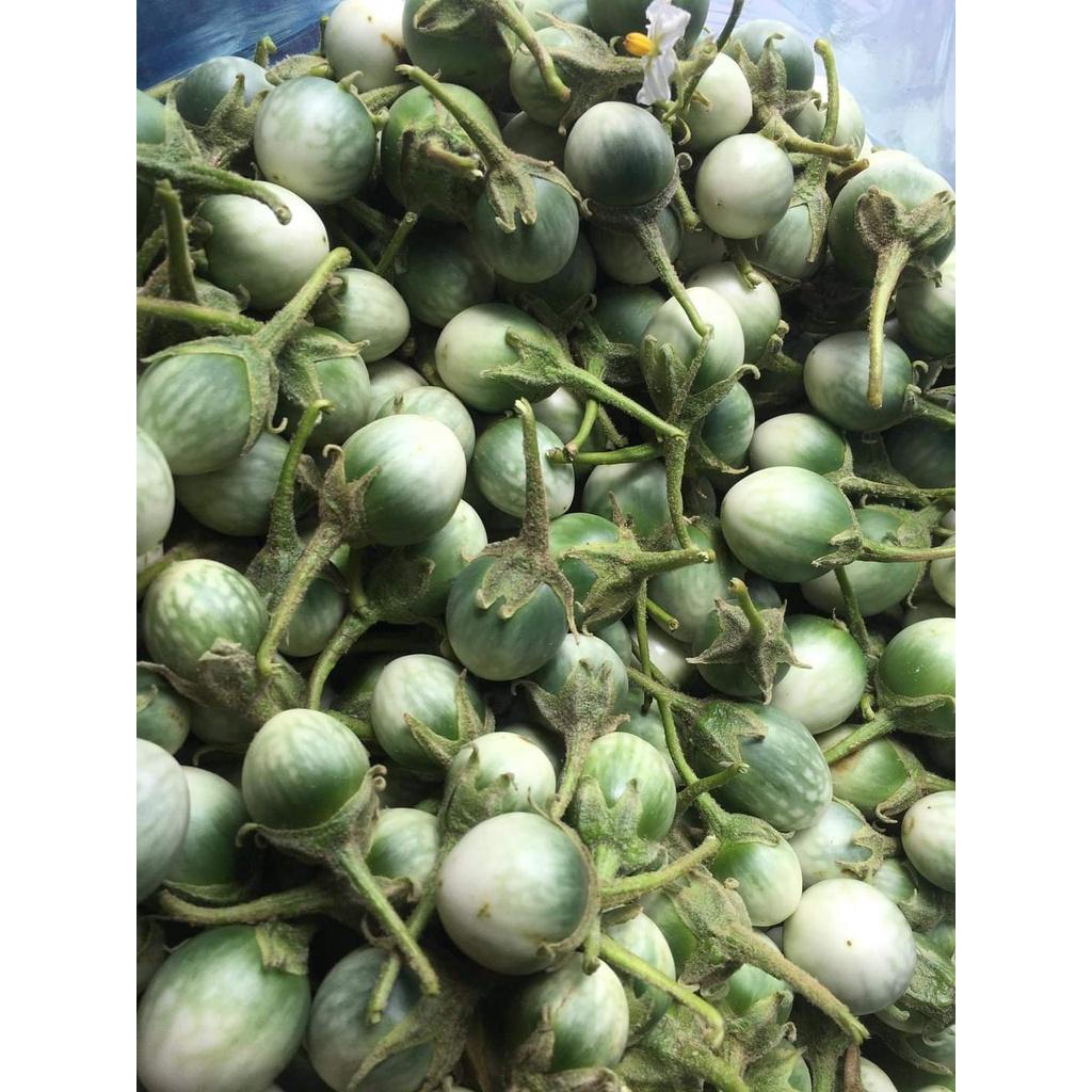 Cà Đắng Tây Nguyên