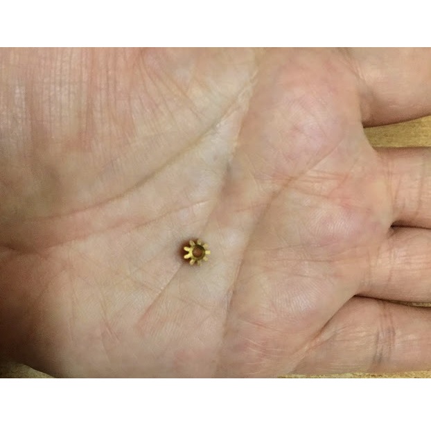 Bánh răng đồng 9 răng lỗ trục 2mm dùng để nối trục động cơ