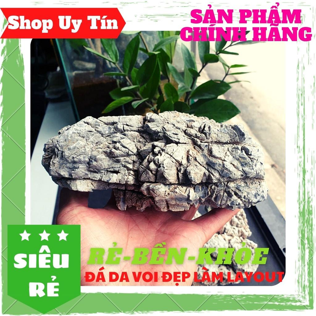 Đá Da Voi Đẹp | Trang trí Bể Cá Thủy Sinh, Phong Cách Biotope, Iwagumi (1KG)