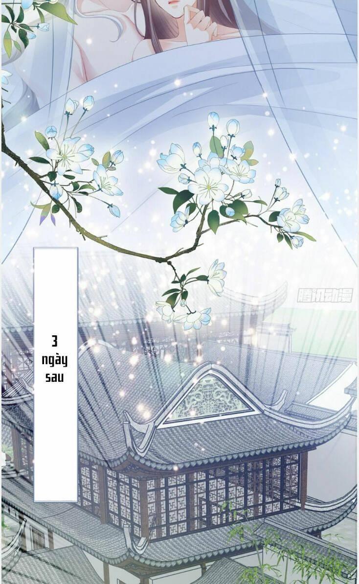 bổn vương muốn nàng chapter 189 29