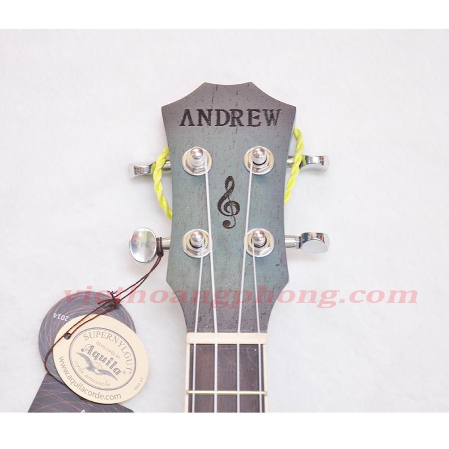 Đàn Ukulele Tenor ANDREW (Mỹ) 805 Ombre Blue-Green + Tặng bộ phụ kiện