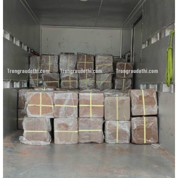 Mùn dừa ép bánh 5kg đã xử lý nở ra được khoảng 20-25kg, trồng rau mầm, ươm cây, giâm chiết cành..