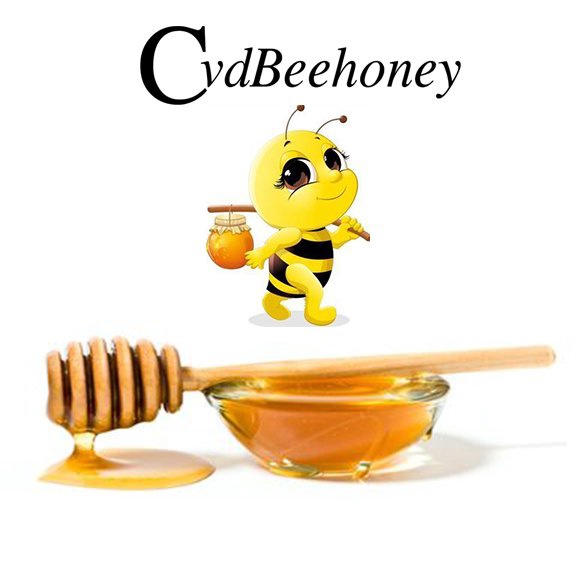 Que gỗ lấy mật ong CvdBeehoney kích thước dài 8cm