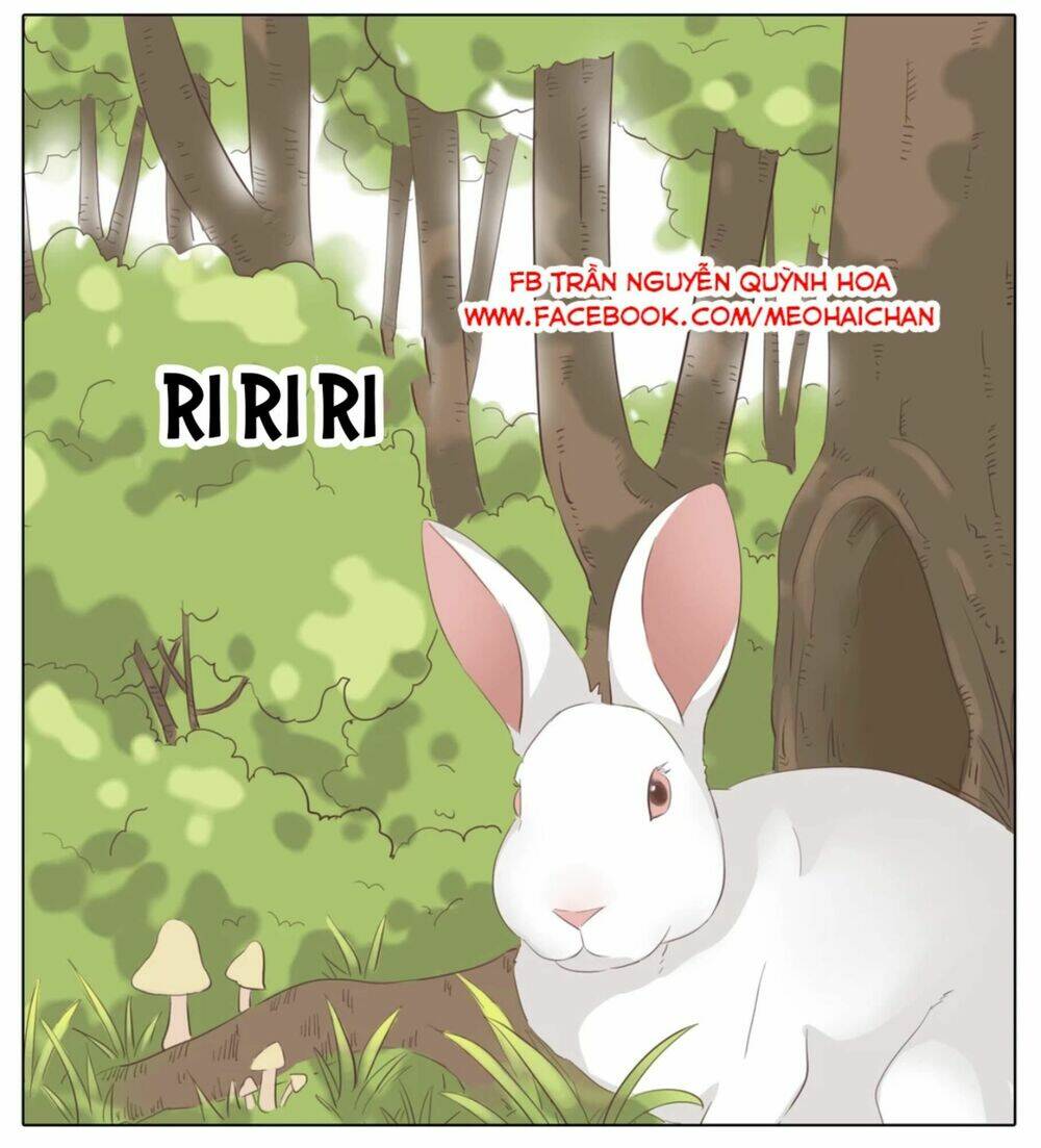 xin chào! dân nữ chapter 31 67