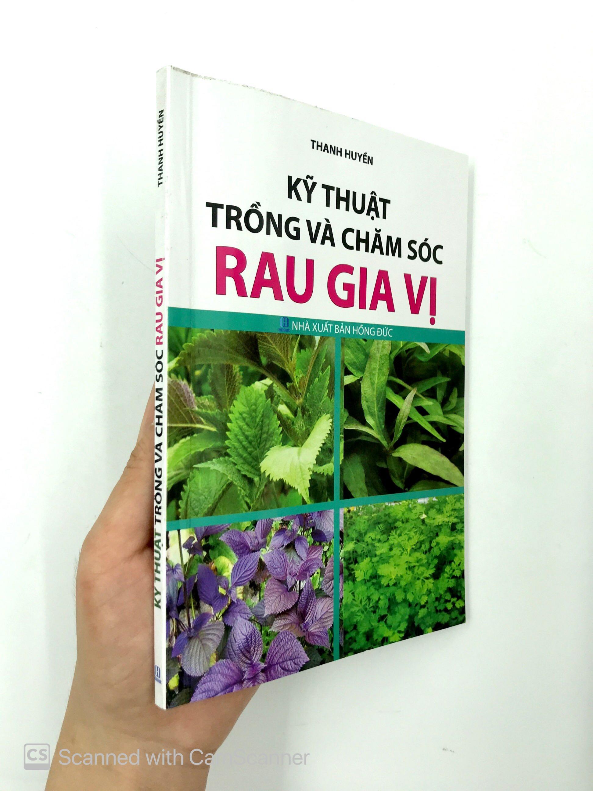 Kỹ Thuật Trồng Và Chăm Sóc Rau Gia Vị
