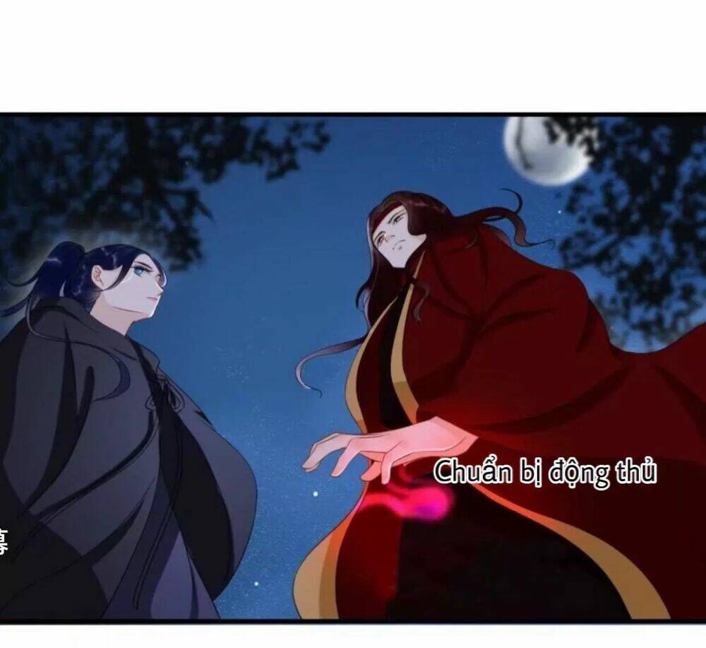 sủng phi của vương chapter 62 24