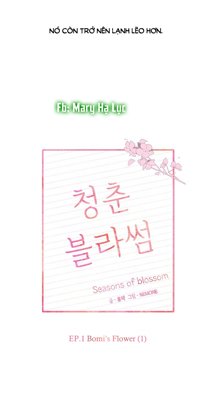 thanh xuân rực rỡ - season of blossom chapter 1 38