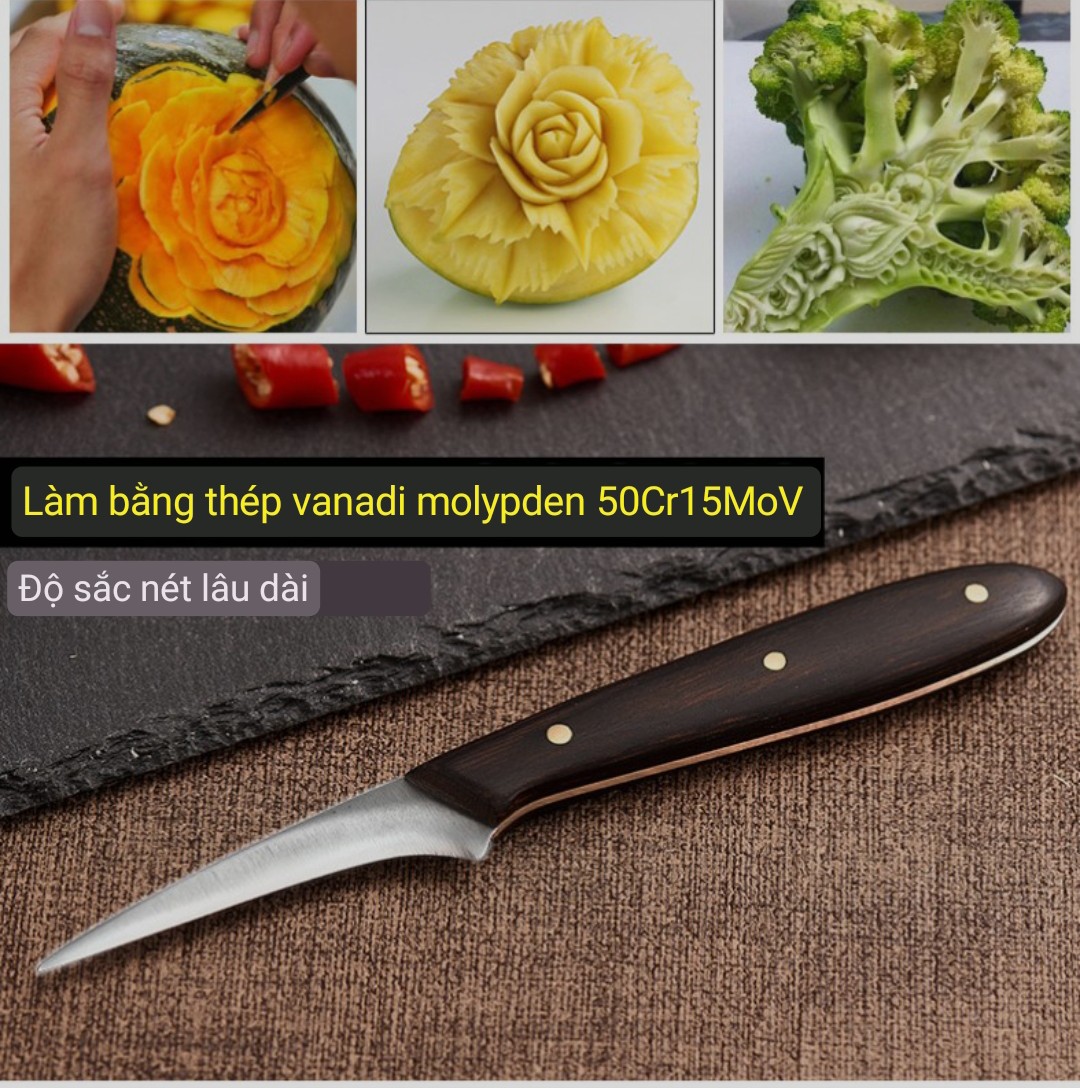 Dao Tỉa hoa Điêu Khắc ngắn Thép Không Rỉ Tỉa Rau Củ Quả Trái Cây siêu sắc cán gỗ_ Carving Knives Tools