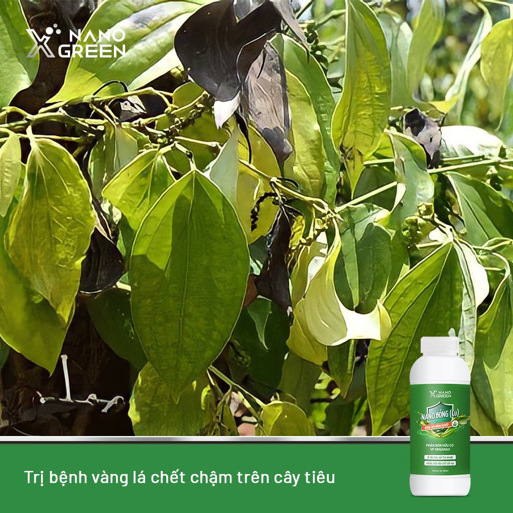 Phân Bón Hữu Cơ Chuyên Dùng Trong Nông Nghiệp Nano Xgreen Nano Đồng (Cu) 100ml - AHT Corp