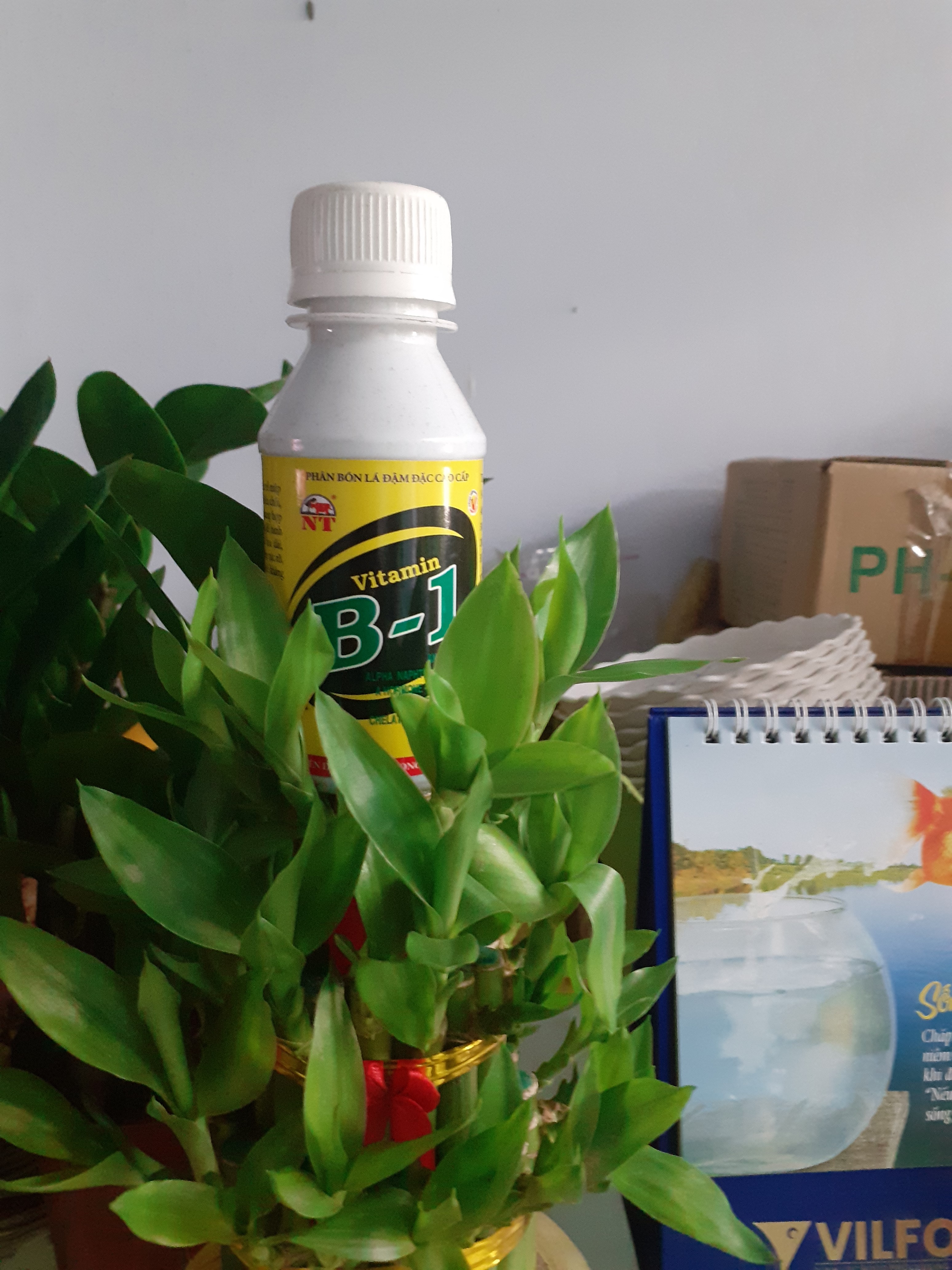 Chai 100ml ra rễ cực mạnh vitamin B1.