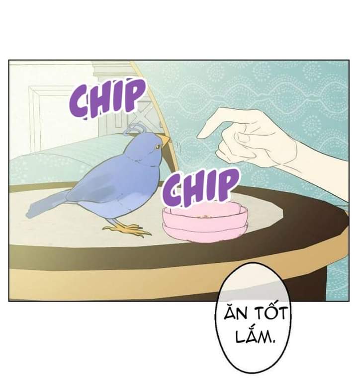 bỗng một ngày nọ tôi trở thành nàng công chúa chapter 50 41