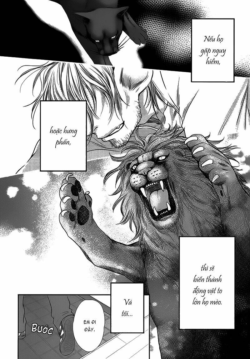 nekoka danshi no shitsukekata chapter 11 8