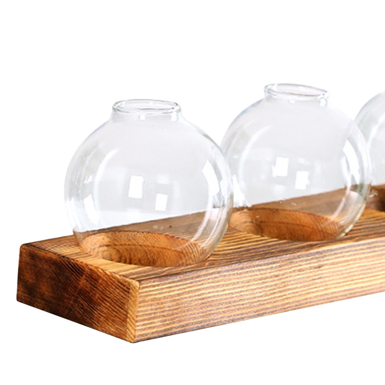 Glass Vase Transparent Bottle Propagation Terrarium for Home Cabinet Decor