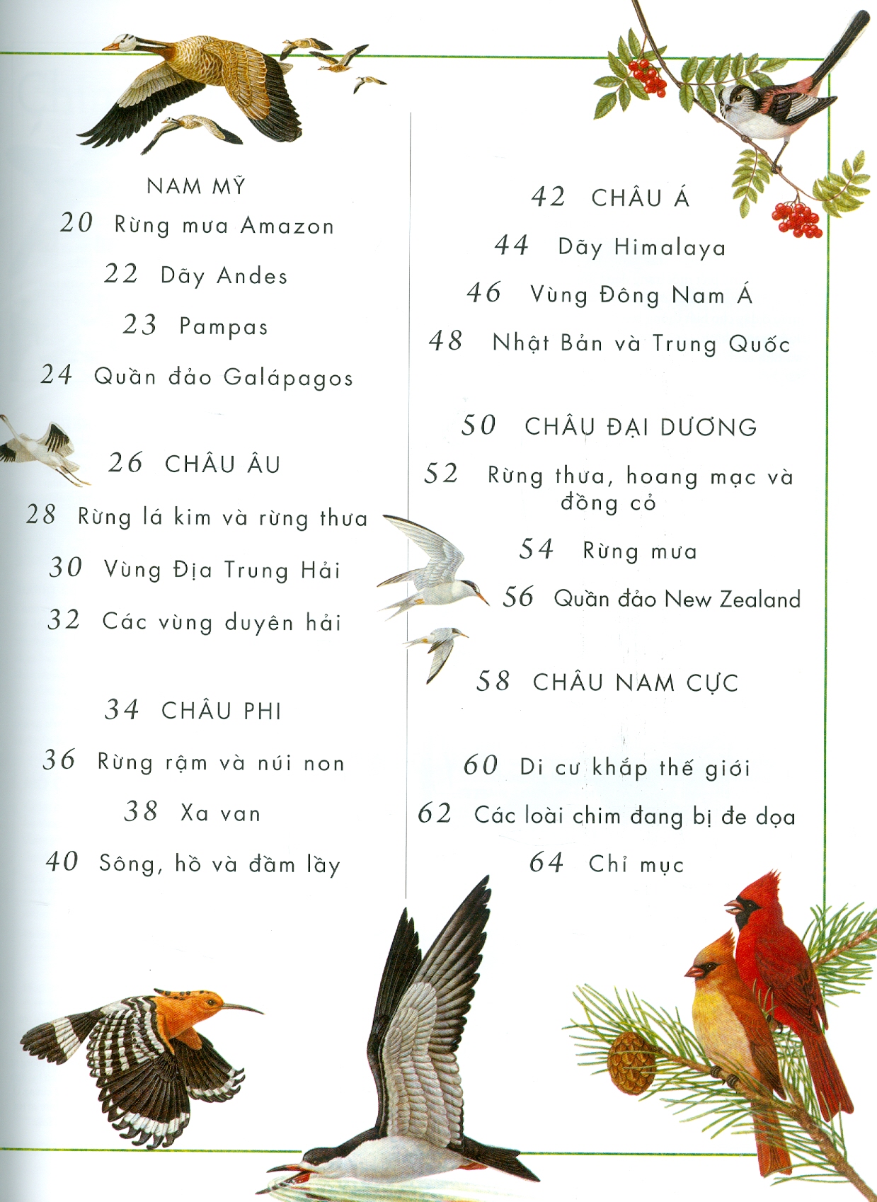 Atlat Động Vật - Bách Khoa Bằng Hình Về Các Loài Động Vật Hoang Dã Trên Thế Giới